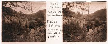 Paisatge muntanyenc Josep Forns