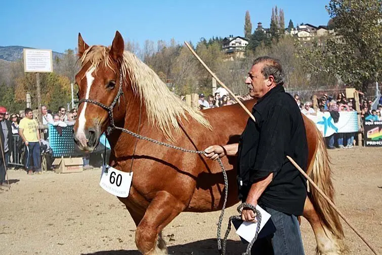 Fira de Puigcerd&agrave;