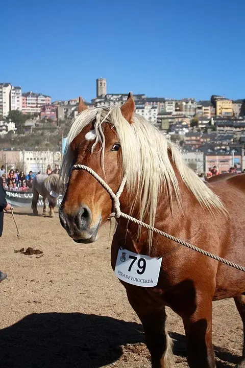 Fira de Puigcerd&agrave;