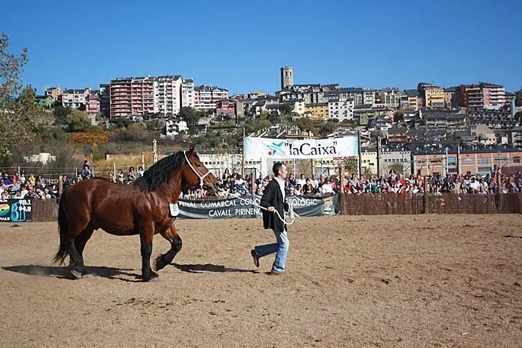 Fira de Puigcerd&agrave;