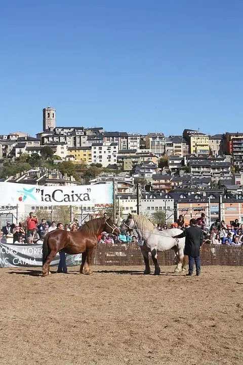 Fira de Puigcerd&agrave;