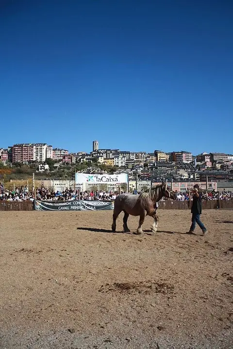 Fira de Puigcerd&agrave;