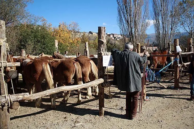 Fira de Puigcerd&agrave;