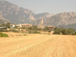 Trag&oacute; 
