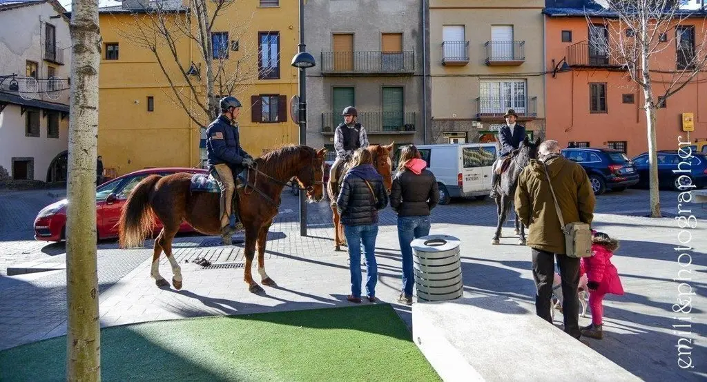 Missa i benedicci&oacute; d'animals Sant Antoni.