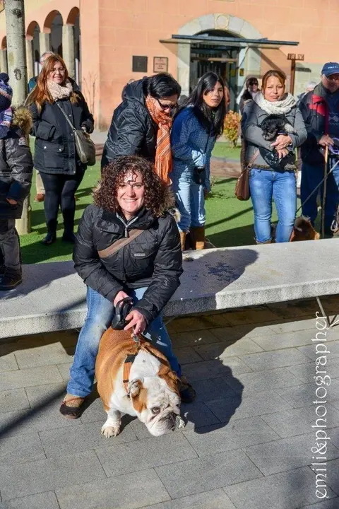 Missa i benedicci&oacute; d'animals Sant Antoni.
