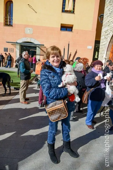 Missa i benedicci&oacute; d'animals Sant Antoni.