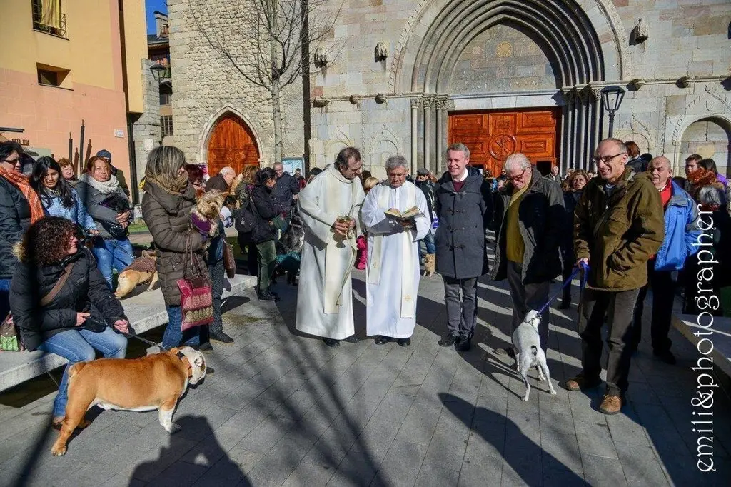 Missa i benedicci&oacute; d'animals Sant Antoni.