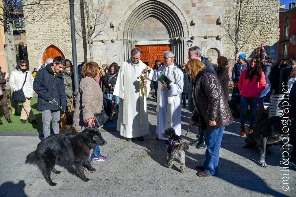 Missa i benedicci&oacute; d'animals Sant Antoni.