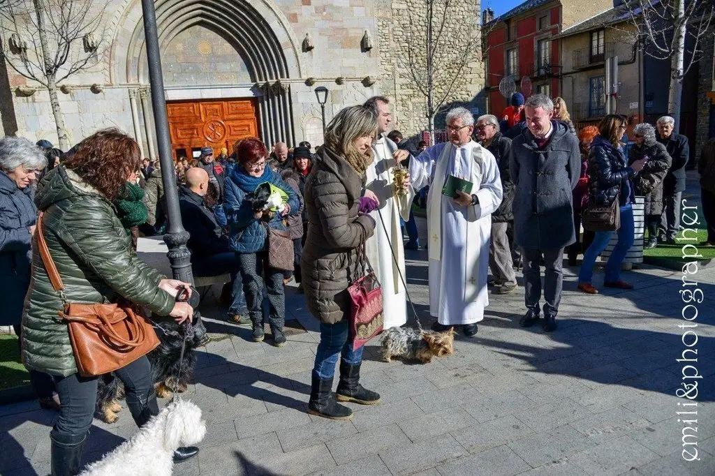 Missa i benedicci&oacute; d'animals Sant Antoni.