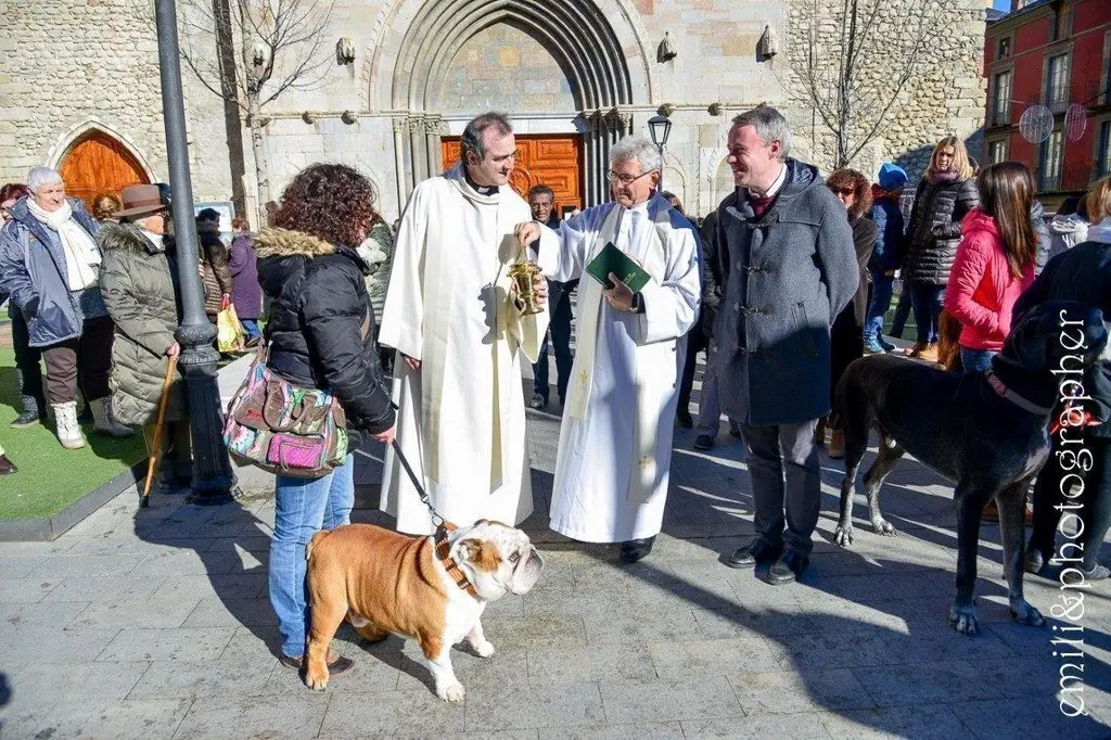 Missa i benedicci&oacute; d'animals Sant Antoni.