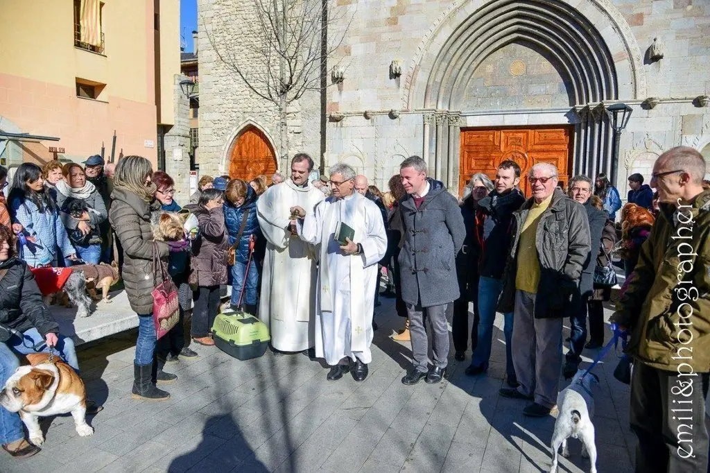 Missa i benedicci&oacute; d'animals Sant Antoni.