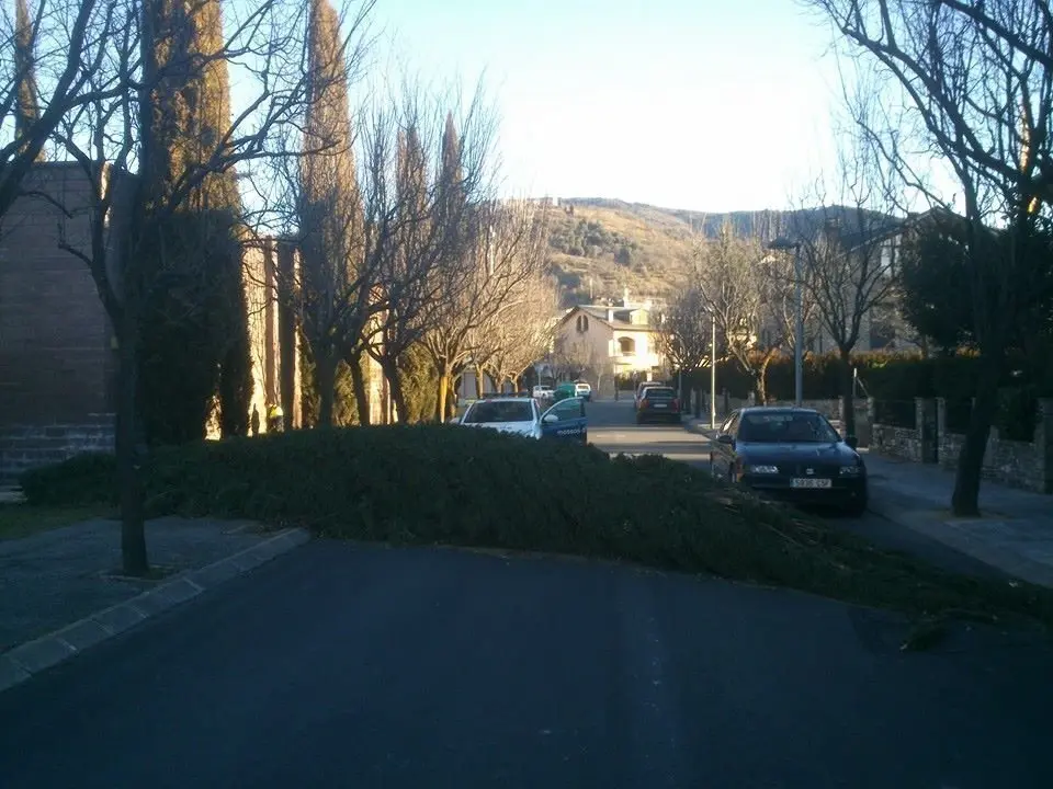 Afectaci&oacute; del vent - Foto: Xavier Gra&ntilde;&eacute; Porta 