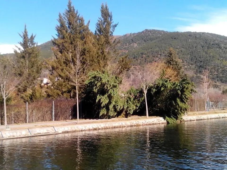 Afectacions del vent 