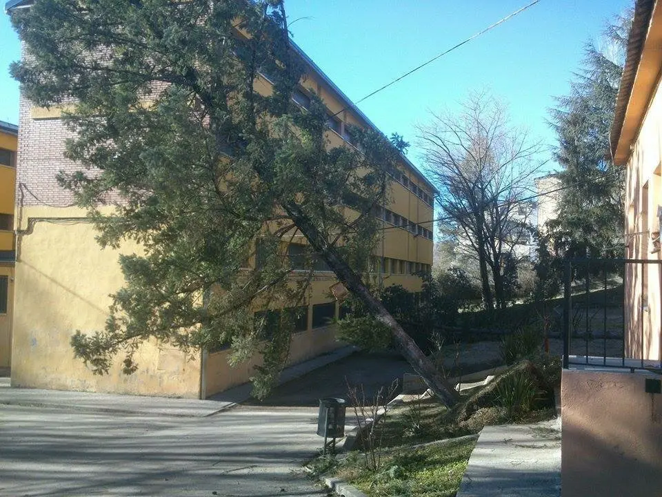 Afectacions del vent 