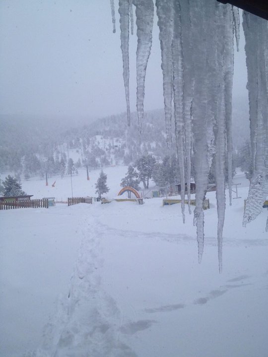 Foto Ski pallars