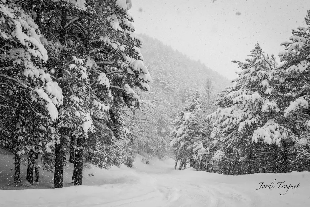 Foto Jordi Troguet - Andorra