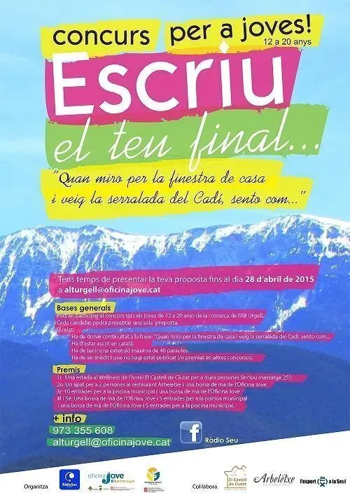 Escriu el teu final 2015 - Cartell