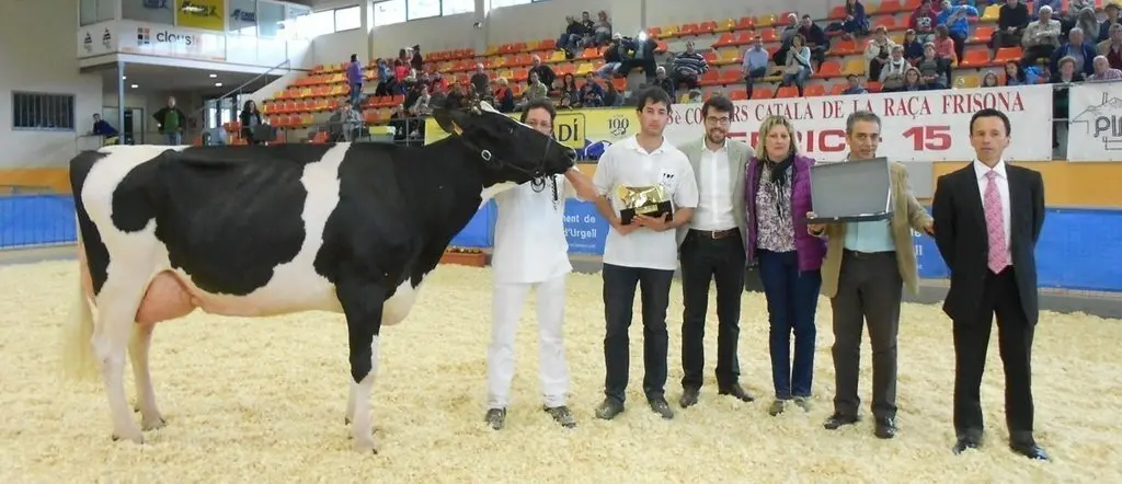 concurs frisona 047