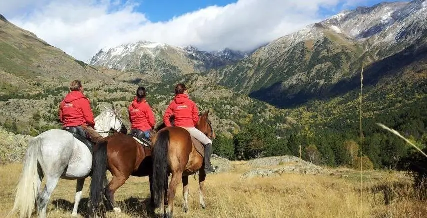 Cavall natura pirineu
