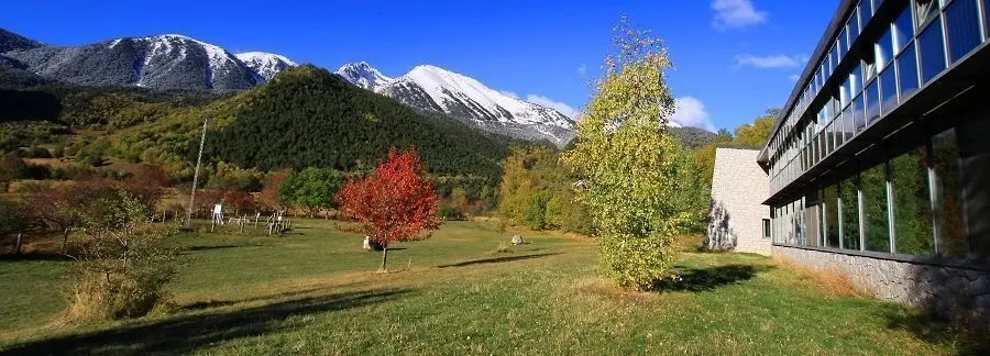 MNP tardor