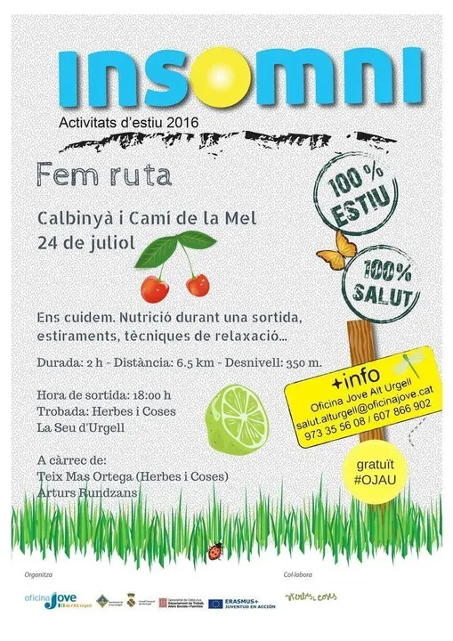 Fem ruta 3