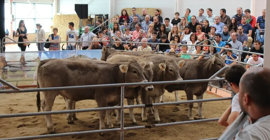 bruna0k