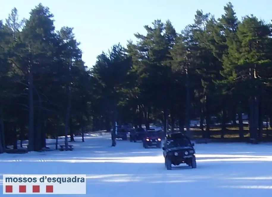 foto_3027042