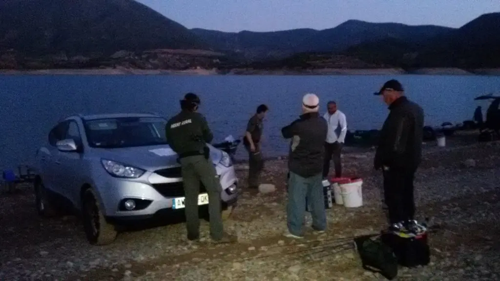 foto_3144181