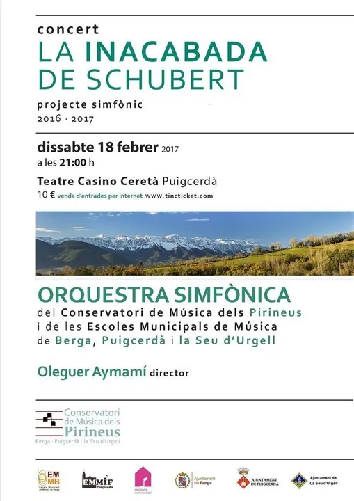 ProjecteSimf&ograve;nic2017-concert_cartell