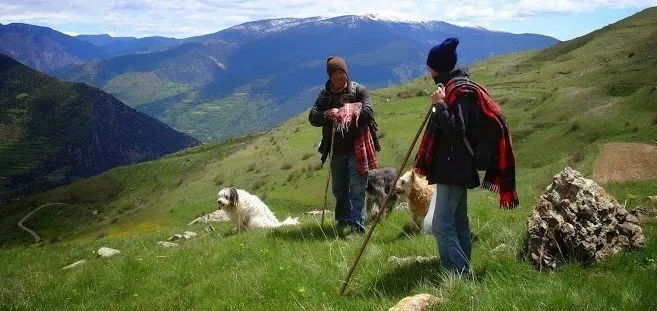 foto_953197O