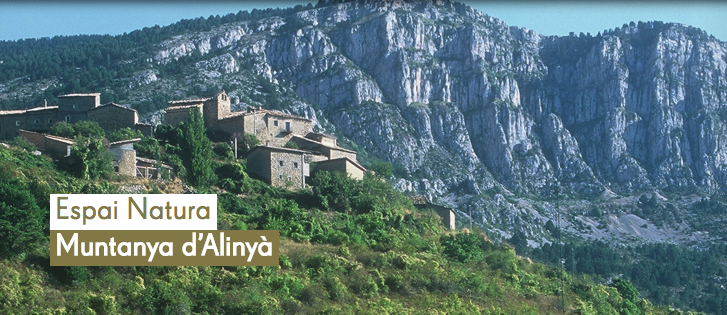 alinyà