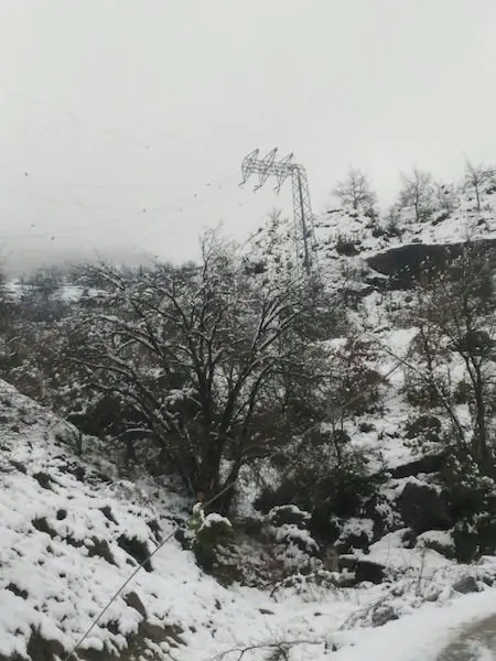 25.03.2017torre caiguda pel  temporal
