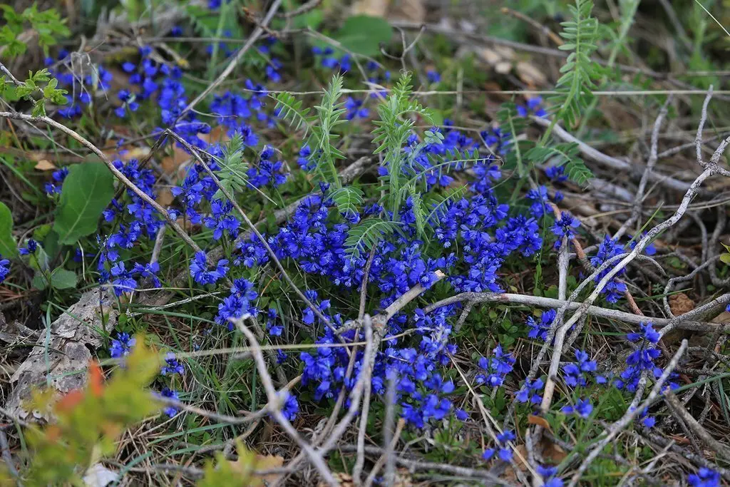 019