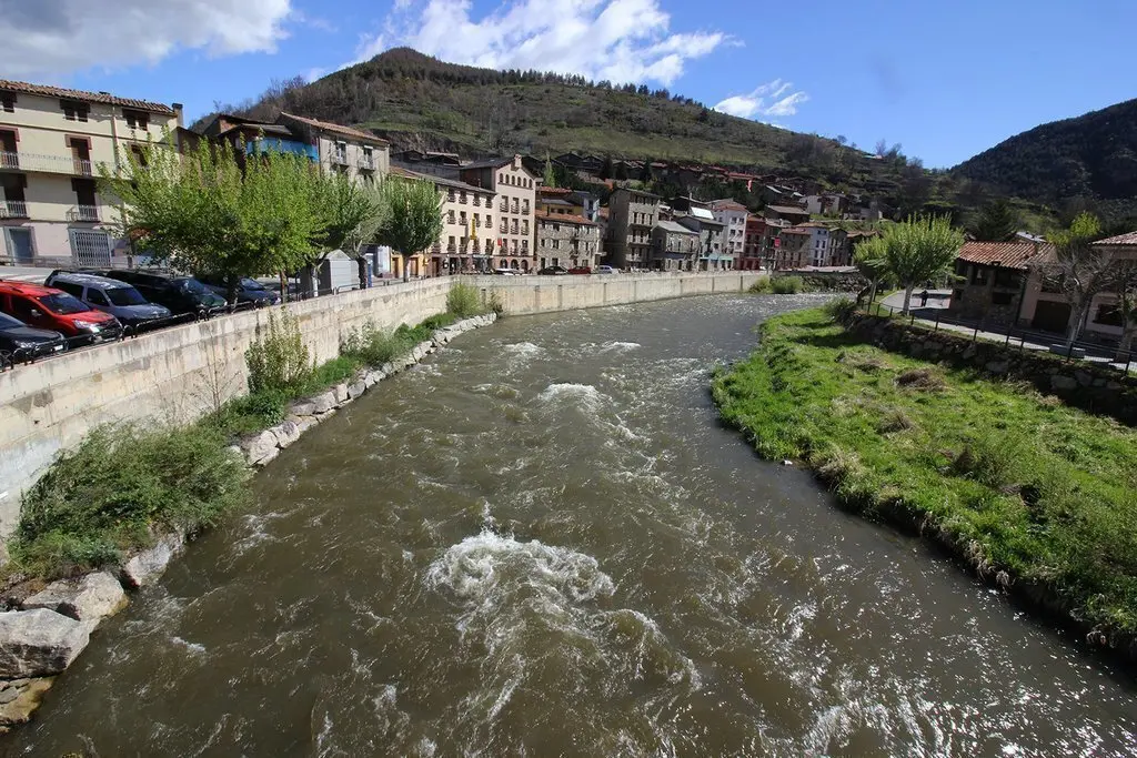 Martinet i el riu Segre