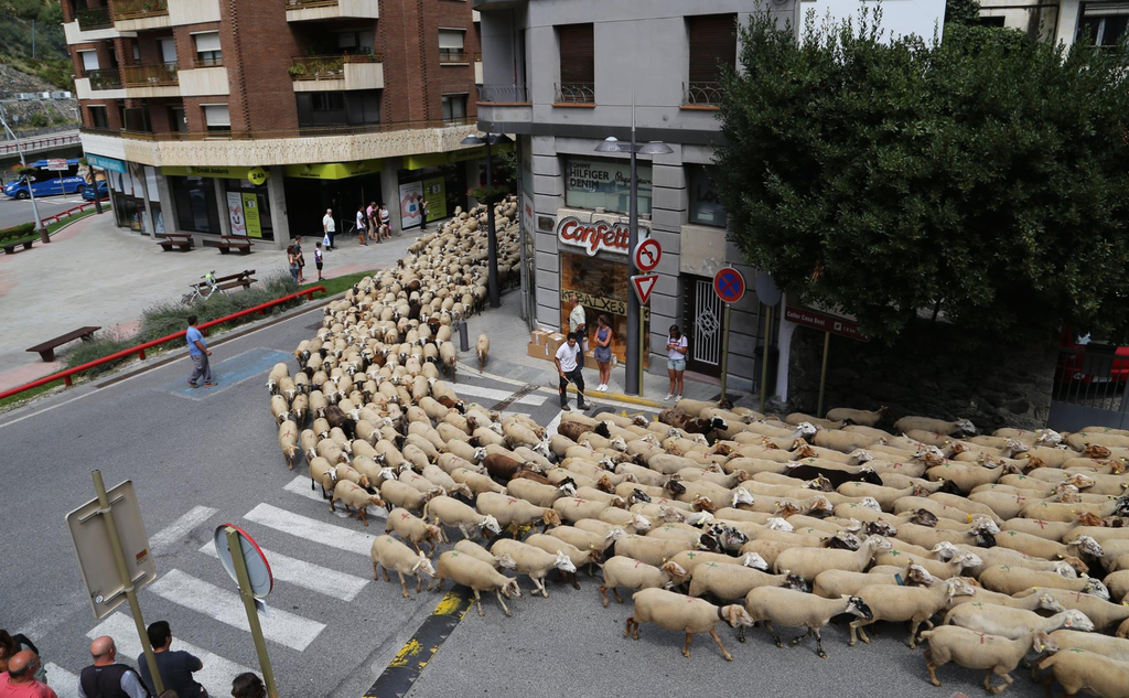 Transhumància estacional Sant Julià de Lòria 1.jpg
