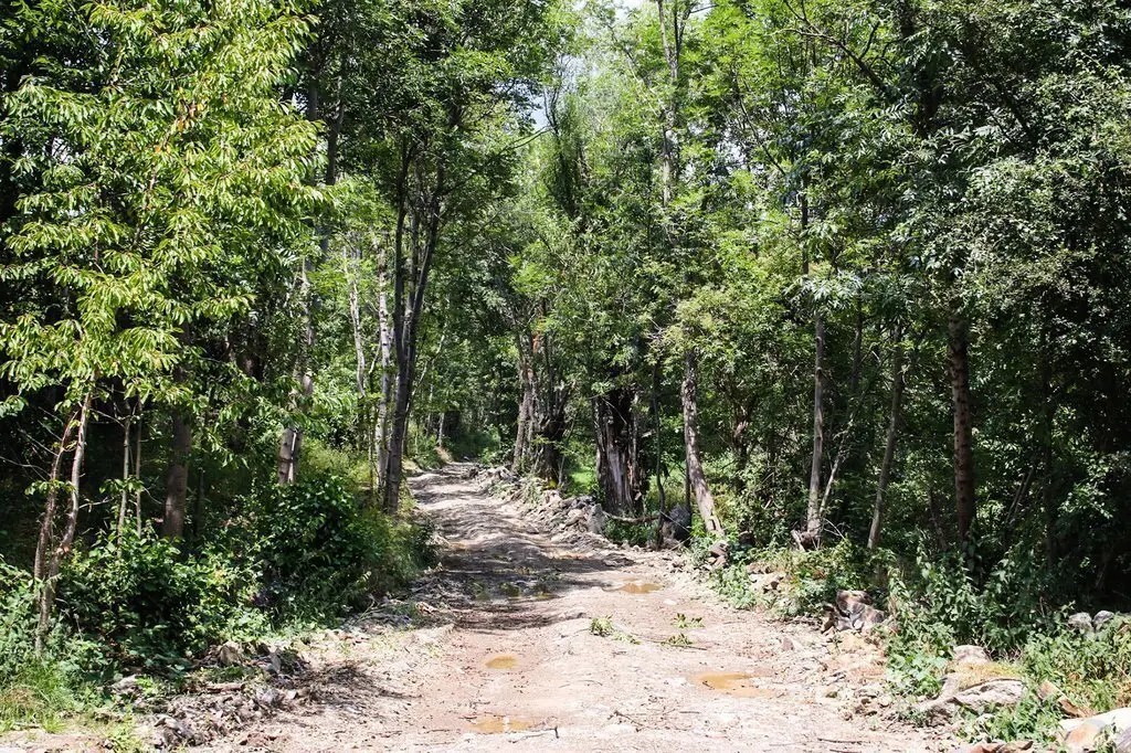 camí d'iravals01