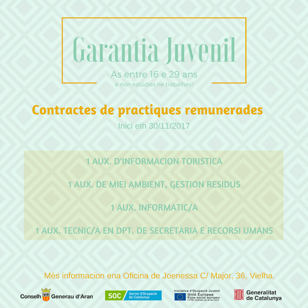 Garantia Juvenil(1)