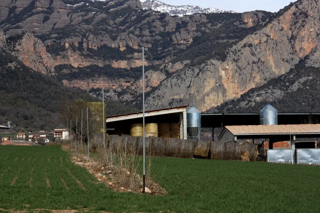 Nou regadiu Peramola i Bassella