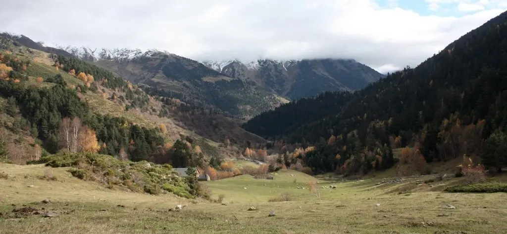 foto_640811O