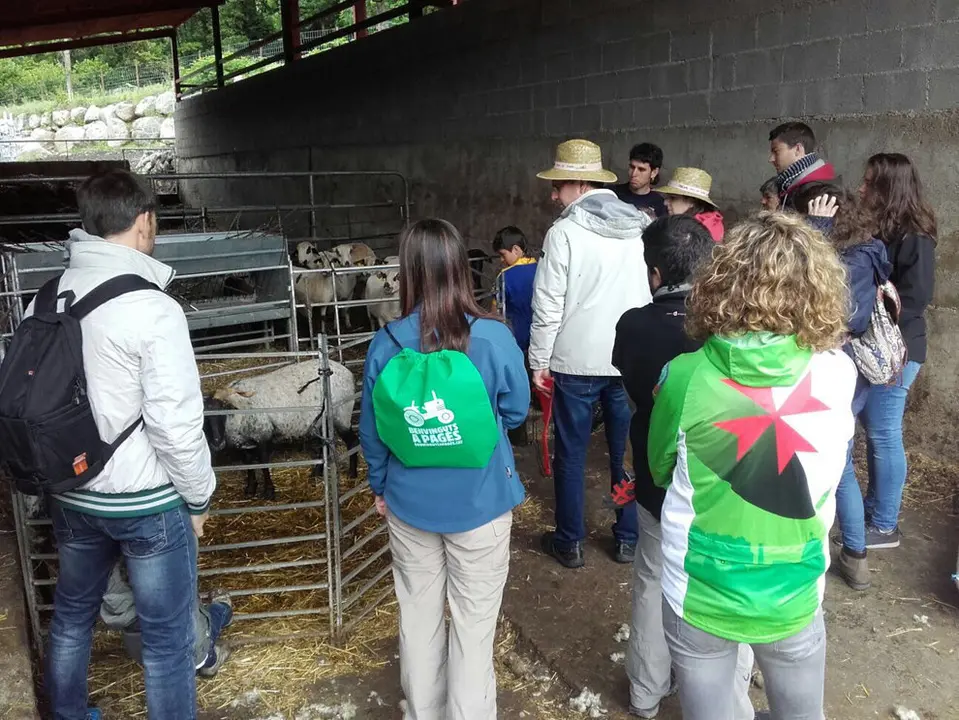 Benvinguts a Pagès '18