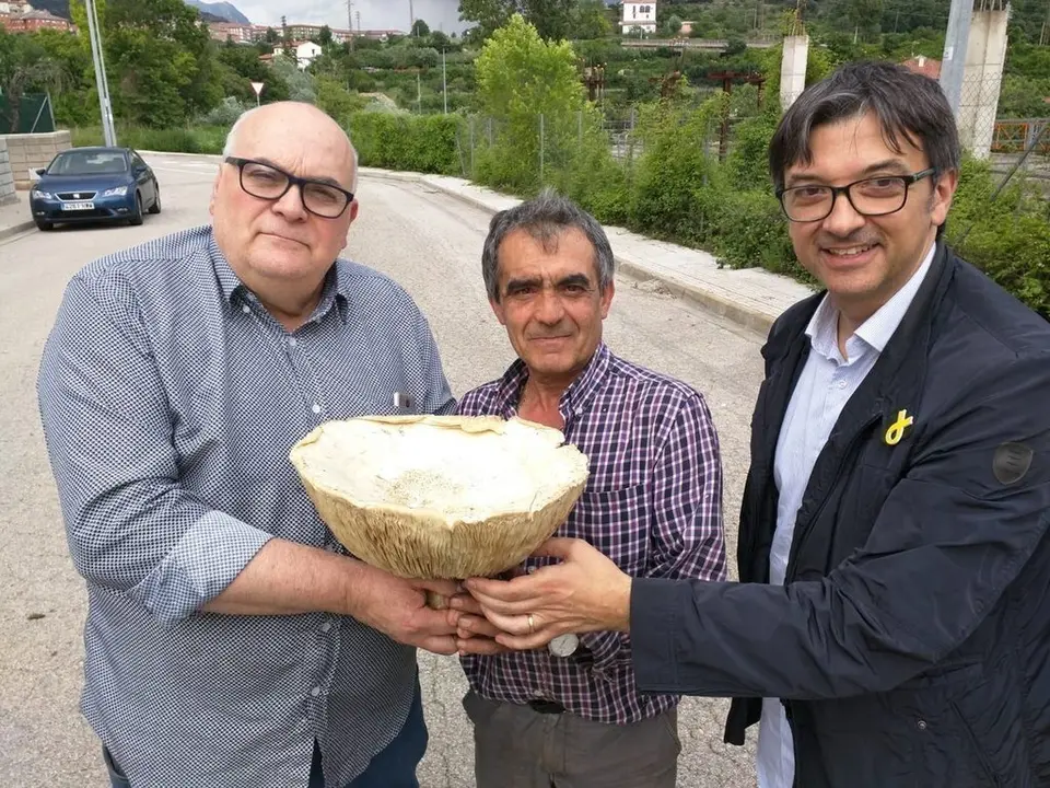 Un moixeró de record 2