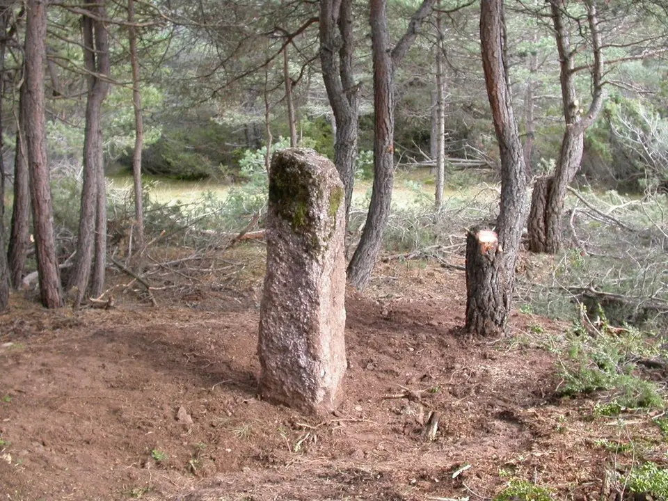Menhir Sant Mag&iacute;