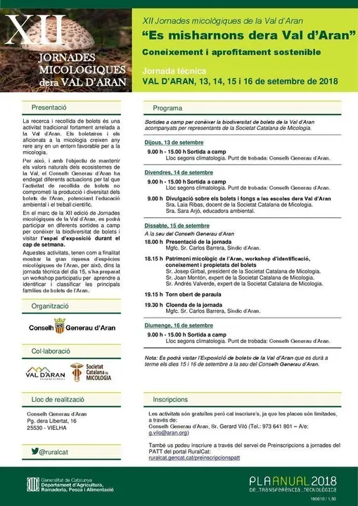 Val d'Aran_Misharnons_13141516092018_180610-001