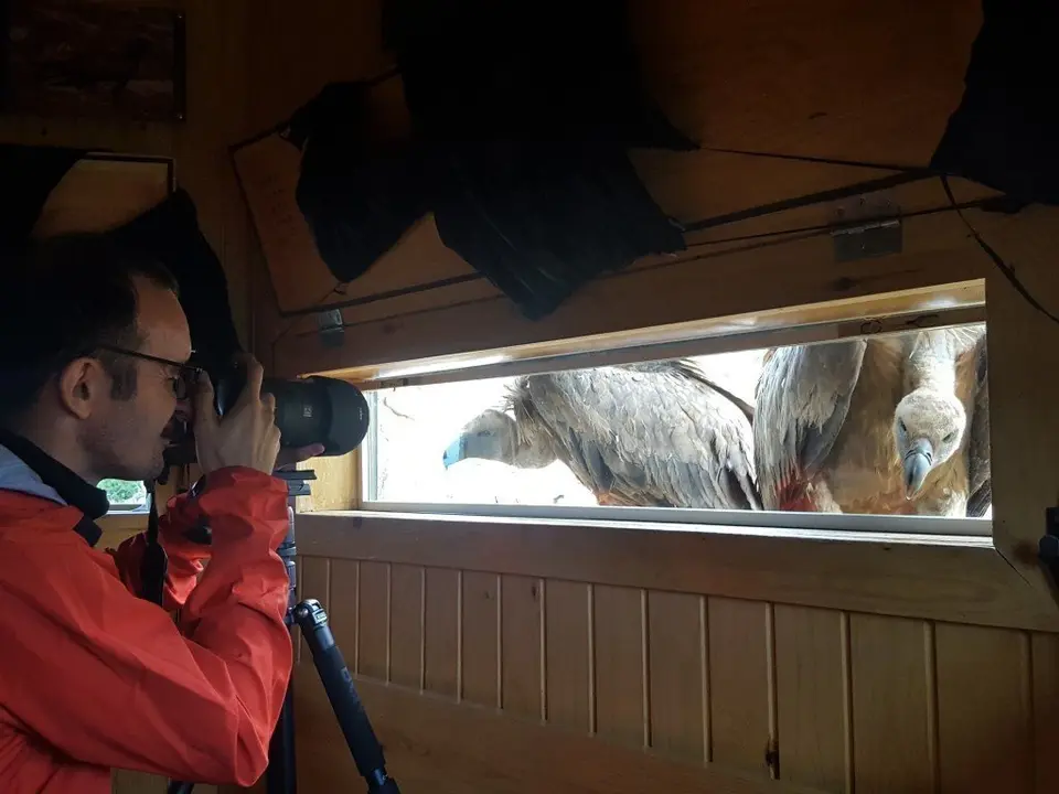 Ecoturistes_03 (Medium)