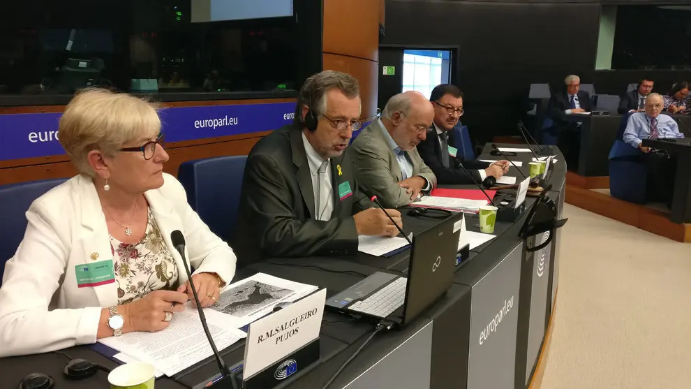 La delegaci&radic;&ge; de l'Acad&radic;&reg;mia Aranesa de la Llengua Occitana durant la seva intervenci&radic;&ge; al l'Integrup de Minories del Parlament Europeu, a Estrasburg, el 13 de setembre (horitzontal)