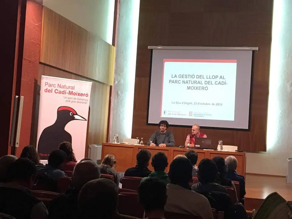 Gestió del llop 2