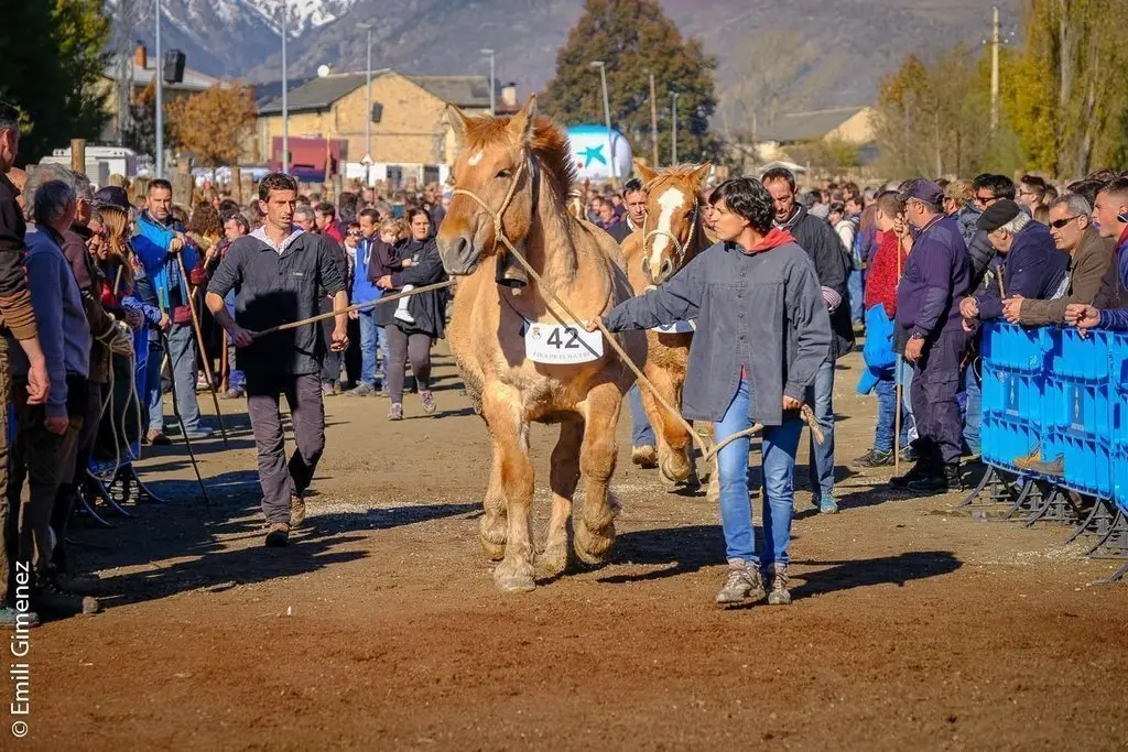 Fira de Puigcerdà 2018