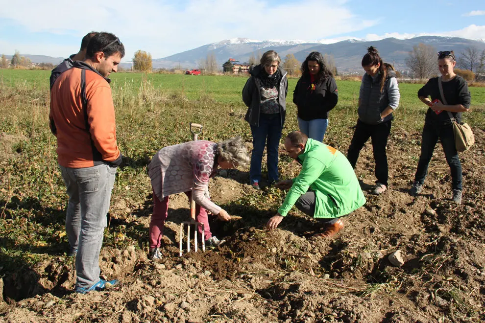 Pla general d'una visita a un camp de naps situat als afores de Puigcerd&radic;&dagger;, en el marc d'una jornada t&radic;&reg;cnica celebrada a Ger el 14 de novembre de 2018 (Horitzontal).