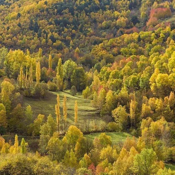 Parc Natural de l'Alt Pirineu